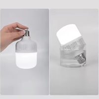Ampoule LED en forme de T 30W pour le camping et la maison, B22/E27, rechargeable par USB, éclairage d'urgence en plastique