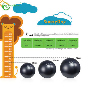 Zhensheng Birthing <span class=keywords><strong>Ball</strong></span> Embarazo Ejercicio Pilates Yoga <span class=keywords><strong>Ball</strong></span> 65cm - Product Image 5