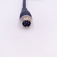 OEM-Hersteller Stecker Kabelbaum baugruppe m12 Kabel Buchse und Stecker Hoch temperatur Auto Elektrokabel PARALLEL KABEL