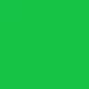 Bambou vert (10501)