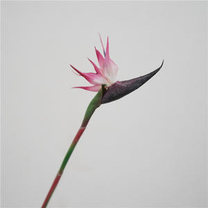GZYX007 gran oferta Real Touch Strelitzia Reginae <span class=keywords><strong>Aiton</strong></span> simulación pájaro del paraíso tallo flor Artificial hogar sala de estar Decoración - Product Image 6