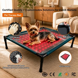 Tapis pour animaux de compagnie ZT 660nm&850nm, rectangle, thérapie par lumière rouge, lit pour chien, plastique imperméable avec 140 LED, utilisation toute saison - Product Image 5