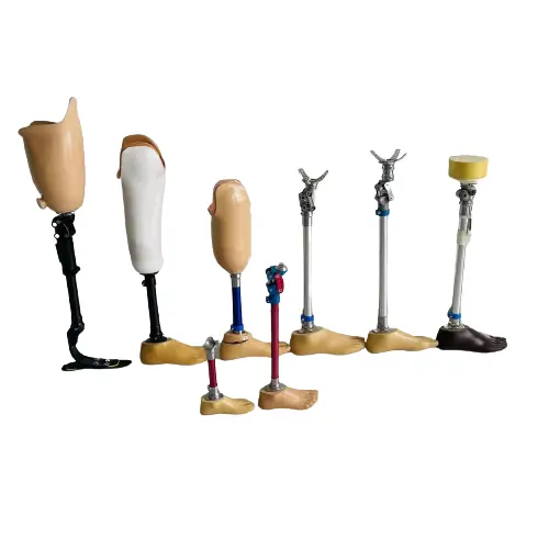 Above / below knee leg prosthesis prosthetic leg parts medical artificial limb orthopedic leg