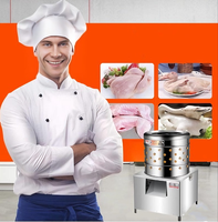 Machine à épiler la volaille entièrement automatique en acier inoxydable avec moteur 220V pour poulets, oies, pigeons, cailles