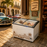 Congélateur à glace commercial 720L avec porte vitrée incurvée, refroidissement direct, congélateur coffre à congélation profonde pour restaurant