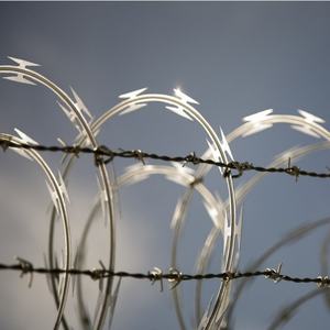 Fil barbelé en acier inoxydable galvanisé calibre 16, rouleau <span class=keywords><strong>de</strong></span> 500 m, protection renforcée, <span class=keywords><strong>prix</strong></span> abordable, clôture, portail, échantillons gratuits disponibles - Product Image 3