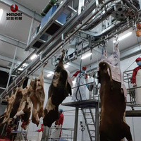Línea de Sacrificio de Ganado con Control Inteligente Automático/Semi-Automático, Maquinaria Comercial para Procesamiento de Carne de Res, Motor y Bomba