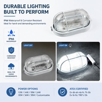 Luminaire ovale antidéflagrant E27 LED personnalisable ATEX, résistant à l'humidité, pour stations pétrolières et gazières