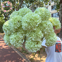 Bunga Hydrangea Hijau Besar 21cm Terlaris, Bunga Sutra Buatan Kepala Tunggal untuk Dekorasi Acara Pernikahan