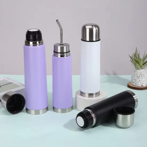 Botella de Agua Aislada al Vacío de Acero Inoxidable Personalizada al por Mayor, Nueva de 2026, 500 ml/750 ml, a Prueba de Fugas, con Filtro de Té y Pajita Integrados - Product Image 1