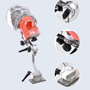 Simulador de cabeza fantasma dental para práctica clínica, estomatología, Phentom, modelo de cabeza biónica, herramienta de simulación de enseñanza, silla o escritorio - Product Image 2