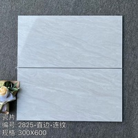 Vente Flash : Carreaux Muraux en Porcelaine 300x600mm, Étanche, Antidérapant, Résistant aux Acides, 6 Motifs Marbre pour Centres Commerciaux, Espaces Commerciaux et Résidentiels