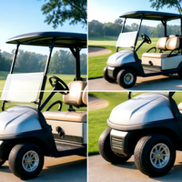 Hotel-Shuttle Elektro-Golfwagen für 2 Personen Besichtigungsfahrzeug mit Rücksitz-Kit für Resorts und Parks