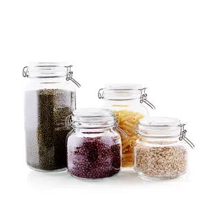 China 3.4oz 100ml Square Mini Swing Top Glass Spice Jars