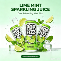 OEM Private Label Aangepaste Premix Geblikte Konjac Jelly Drank Fruit Sap Vodka Alcoholische Sprankelende Sirop Cocktail Drank