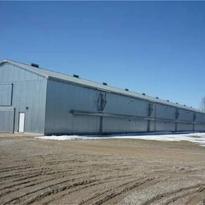 <span class=keywords><strong>Abri</strong></span> pour chèvres en acier Kits de construction préfabriqués en métal Structure en acier Ferme de chèvres Maison - Product Image 6