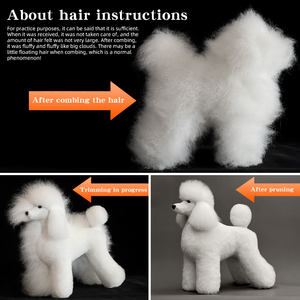 Huisdier Simulatie Haarverzorging Oefenen Hond Standaard Poedel Volledig Lichaam Skeletmodel Hondentrimmen Zwart Onderwijs scheren oefenen - Product Image 5