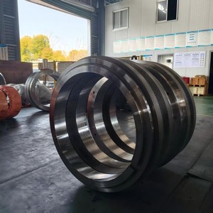 <span class=keywords><strong>Matrice</strong></span> de moule annulaire CPM 7932 pour granulateur, en acier inoxydable X46Cr13, pièce de rechange pour machine <span class=keywords><strong>à</strong></span> granulés d'aliments - Product Image 3