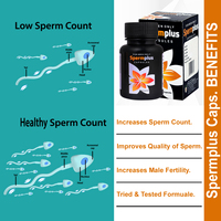 Cápsula de esperma herbal Ayurveda de la mejor calidad para hombres Cápsula de esperma herbal Cápsula de esperma masculino