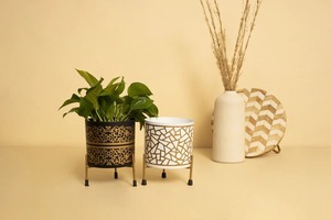 Modern Golden Glossy Metal Planter with Gold Plated Stand <b>for</b> Indoor & Outdoor <b>Plants</b> Home & Office Decor <b>Table</b> Top Floral Pots - Product Image 6