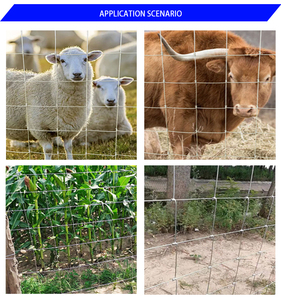 Chất lượng cao chăn nuôi hàng rào cho cừu trang trại/gia súc lĩnh vực/Hươu dây lưới hàng rào mạ kẽm, dê hàng rào - Product Image 6