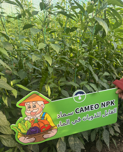 Agriculture, peptidase carbonique, enzyme carbonique, engrais NPK, granulés, prévention des maladies et des ravageurs - Product Image 3