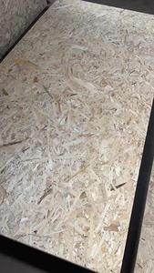 Tablero OSB2 barato de China, <span class=keywords><strong>8mm</strong></span>, 9mm,11mm 18mm <span class=keywords><strong>Osb</strong></span> - Product Image 4