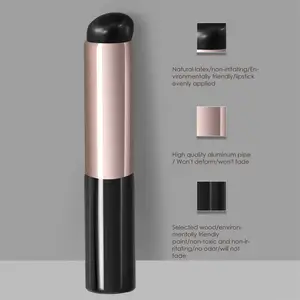 Custom Super Soft Silicone Lip Brushes Concealer Brushes Portable Lip Mask Lipstick Applicator Brush Wholesale