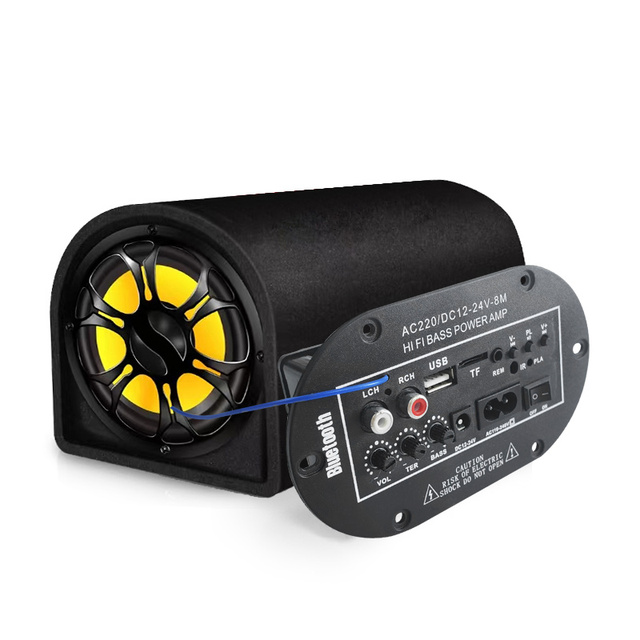 Custom for Subwoofer Car-borne Mono Class D Amplifier Board with 24V USB Radio for Car