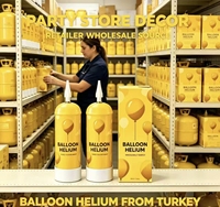 Bouteille de gaz He jetable portable de 0,6 L pour ballons de fête et décorations d'événements