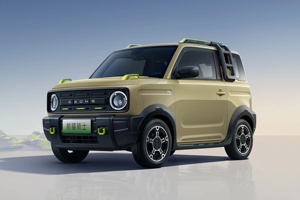 热销产品2025吉利熊猫卡丁车迷你电动车低价汽车电动汽车新能源汽车成人汽车 - Product Image 6