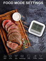 Pantalla Digital Inteligente para Horno de Pizza, Termómetro de Alimentos Líquidos con Dos Sondas de Acero Inoxidable para Barbacoa Bimetal, Horno de Bolsillo