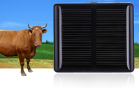 Traceur GPS solaire pour chèvre Traceur GPS pour animaux de ferme Cheval Traqueur solaire pour vache