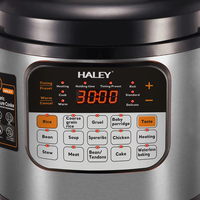 Autocuiseur Électrique Intelligent Personnalisé HALEY 8L – Pot Multifonctionnel Intelligent pour Importateurs Domestiques – Stock Prêt à l'emploi