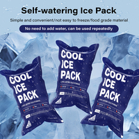 Vessies de glace en gel étanche sans BPA non toxique pour glacières logo personnalisé bleu réutilisable pour le camping la plage le voyage sans danger pour les aliments