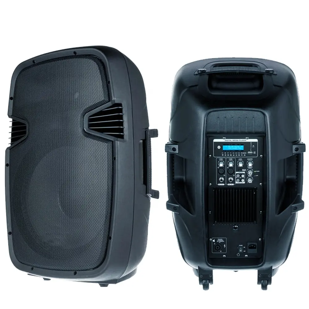 Audio Profesional 600W 15 "Subwoofer Aktif 2-Way Karaoke BT DJ/PA Speaker Set TWS/USB SD Reader/FM/Remote Bocina Parlant