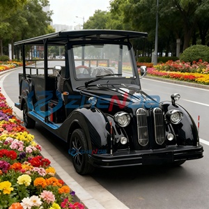 Fuel Funeral Hearse Car Coffin Hearse Wagon Hearse Buggy Cart Horse Funeral Hearse Funeral Car Classic Luxury Style - Product Image 1
