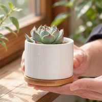 Pot Sukulen Keramik Xun Horticulture Sederhana Putih Porselen Berventilasi Grosir Logo Kustom