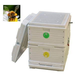 Ruche isolée à double couche efficace, conçue pour la gestion des exploitations agricoles et des apicultures - Product Image 1