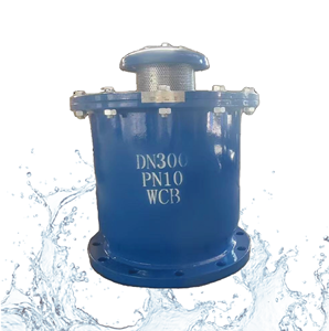 Vanne à air composite en fonte ductile PN10 DN80-DN250 à bride avec filet <span class=keywords><strong>anti</strong></span>-insectes, flotteur en acier inoxydable, époxy bleu, <span class=keywords><strong>anti</strong></span>-odeur, vanne d'égout - Product Image 5