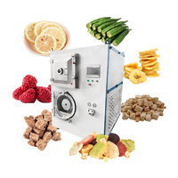Oceaan Goede Prijs Fruit Lyofiliseren Mini Food Sublimatie Vriesdroger Machine Snoep Vriesdroogmachine Thuisgebruik