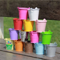 Ember Logam Kecil Warna Pastel Oranye Cina untuk Pot Bunga Anak, Ember Dekoratif Pernikahan dari Timah Seng yang Manis