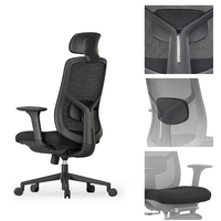 Chaise de bureau ergonomique moderne avec assise en maille confortable, accoudoirs réglables en hauteur, base pivotante et dossier en forme de flèche, réglage manuel