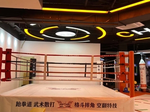 Anillo de boxeo hecho en fábrica, anillo de lucha profesional <span class=keywords><strong>Liangxin</strong></span>, jaula octogonal, anillo de boxeo - Product Image 5