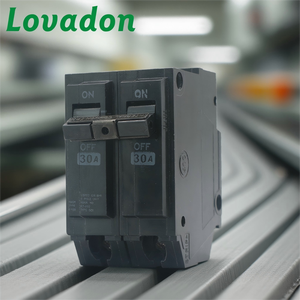 THQL High Quality 2P MCB 30A 120V 240V Mini <strong>Breaker</strong> for Safety Applications 10KA Capacity - Product Image 1