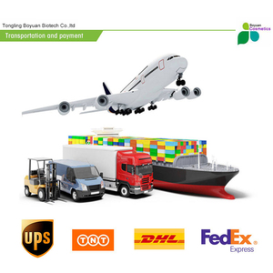 Натуральный экстракт женьшеня, порошок женьшеня, порошок 80% гинсенозидов, лучшее качество - Product Image 3