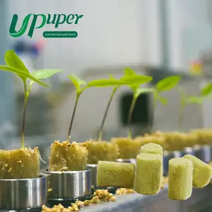 UPuper hydroponic domates yapraklı sebzeler yayılım büyüyen medya kaya yünü tohum marş fişleri