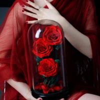 Lovebay Muttertag geschenk Ewige Rose konservierte Blume in Glas 3 Stück echte konservierte Rosen mit Stiel für immer Rosen in Glaskuppel