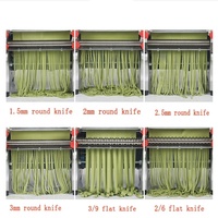 Machine électrique pour préparer des pâtes et des nouilles, appareil chinois qui permet de faire des nouilles à la maison, en acier inoxydable