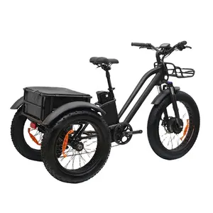 KAIYIカーゴバイクフロントサスペンションバファンハブモーター48V500W750Wリアバスケット電動自転車フェンダー電動自転車EU倉庫